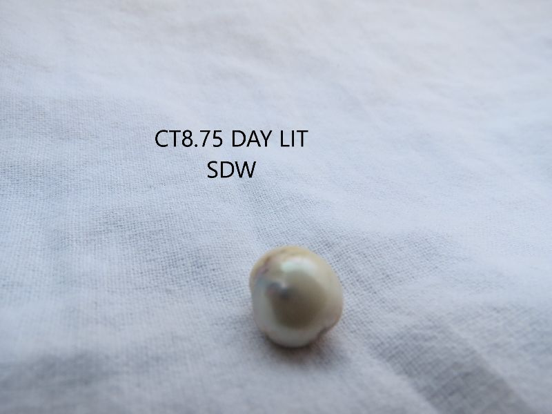 CT8.75 Day Lit SDW Pearl