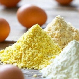 Egg White Powder Buy Egg White Powder In Port Elizabeth South Africa From Amoco General Trading Pty Ltd