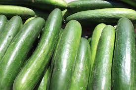 Fresh European Cucumber