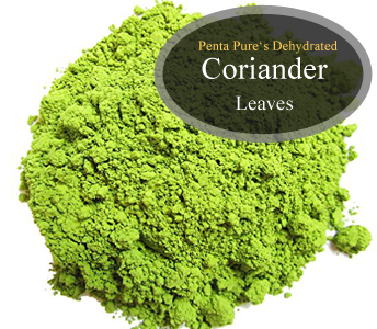 coriander powder