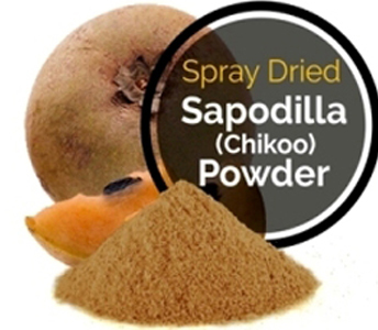 Sapodilla Powder