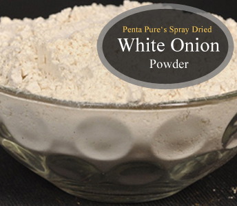 White Onion Powder