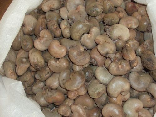 Natural raw cashew nuts, Packaging Size : 80kg/bag