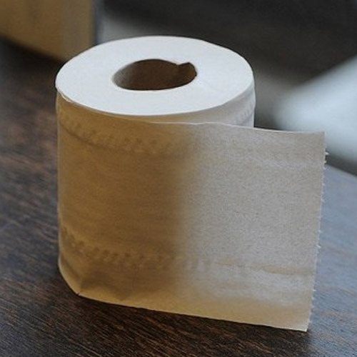 Toilet Tissue Roll 2 Ply 150 Gms