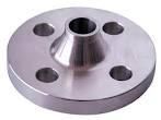 Steel Flanges