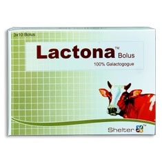 Lactona Bolus