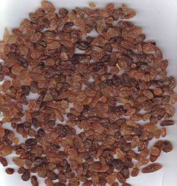 Arable Impex Brown Raisins