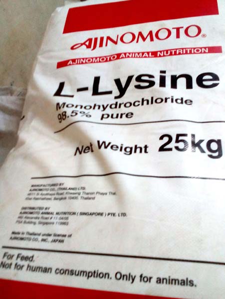 Ajinomoto Lysine