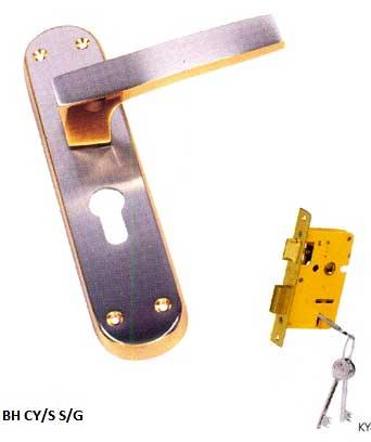 Mortise Door Locks