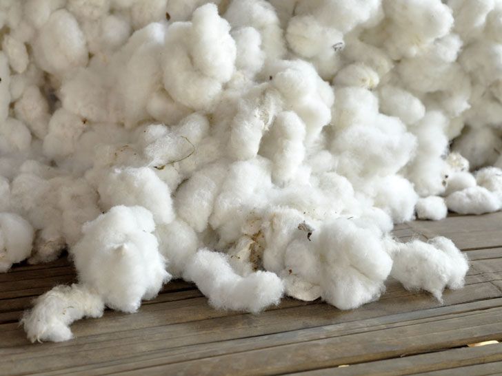 raw cotton