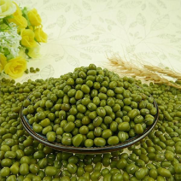 green mung beans