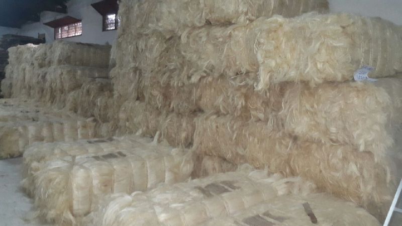 Sisal Fiber