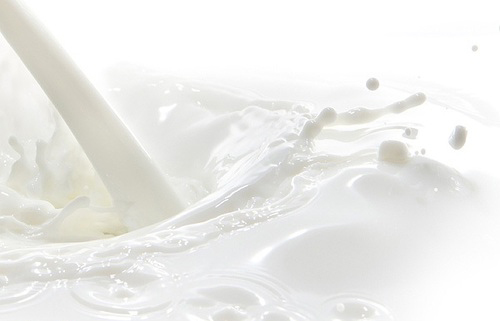 Milk Proteins Isolates