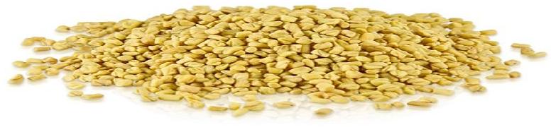 fenugreek seeds