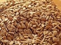 Sunflower Bakery Kernel