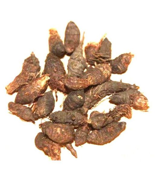 Nagarmotha, for Ayurvedic Medicine Cosmetics