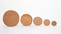 Cocopeat Coins for Nurseries