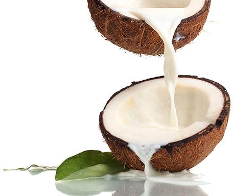 Coconut Milk