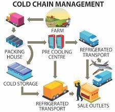 Supply Cold Chain Management