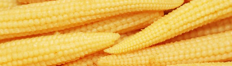 Baby Corn