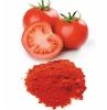 Tomato Powder