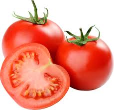 Padmini Hybrid Tomato Seeds