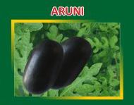 Aruni Hybrid Watermelon Seeds
