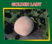 Golden Lady Hybrid Muskmelon Seeds