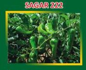 Sagar-222 Hybrid Green Chilli Seeds