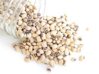cowpea seeds