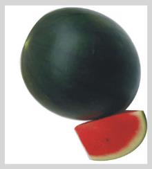 Jarvi-444 Watermelon Seeds