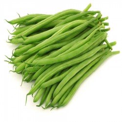 beans seeds