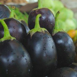 Brinjal Black Beauty Seeds