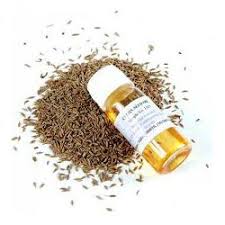 Cumin oleoresin