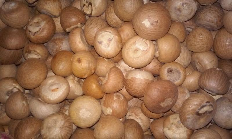 Oganic areca nut