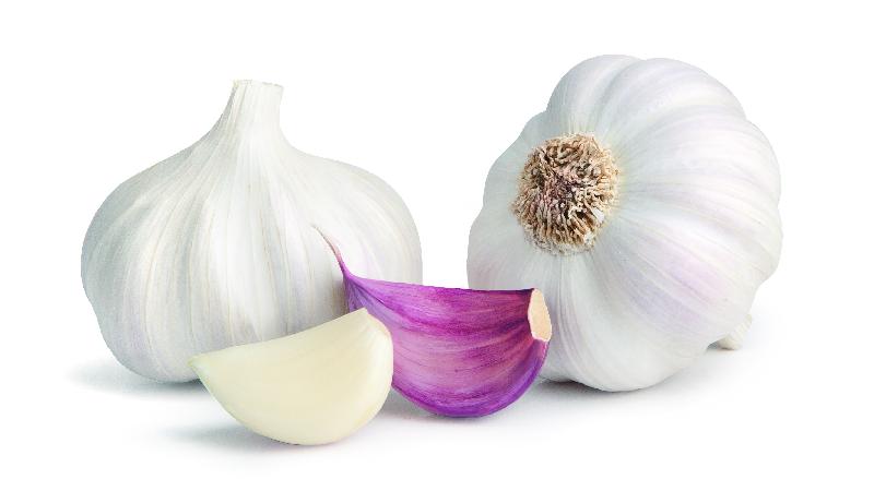 garlic