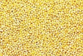 Organic Millet, Color : Yellow, Green white