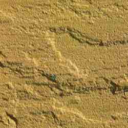 Lalitpur Yellow Sandstone Slabs