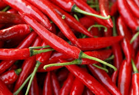 Organic Fresh Red Chilli, for Food, Making Pickles, Taste : Spicy