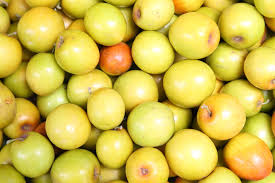 Fresh Jujube Fruit At Best Price Inr 30 Kilogram In Jalore Rajasthan From Shri Gm Enterprises Exim Id