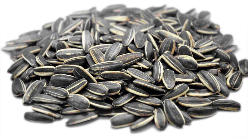 Sunflower seeds