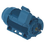 W50 High Voltage motors
