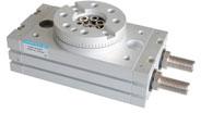 Rotary actuator