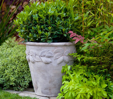 Decorative Terracotta planters
