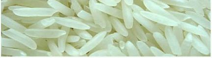 Khushboo Organic Sugandha White Rice