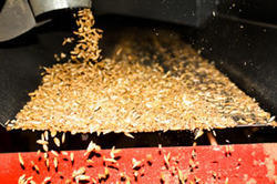 Grain Cleaning Services