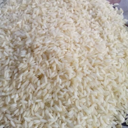 Rice STEEM