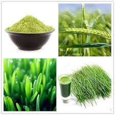 Barley Grass Powder