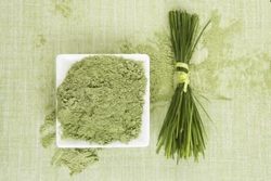 Wheat grass powder