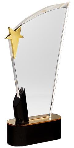 Acrylic Rectangular Trophy